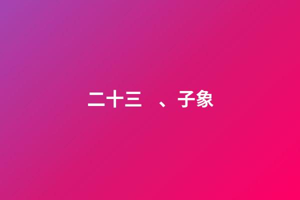 二十三、子象